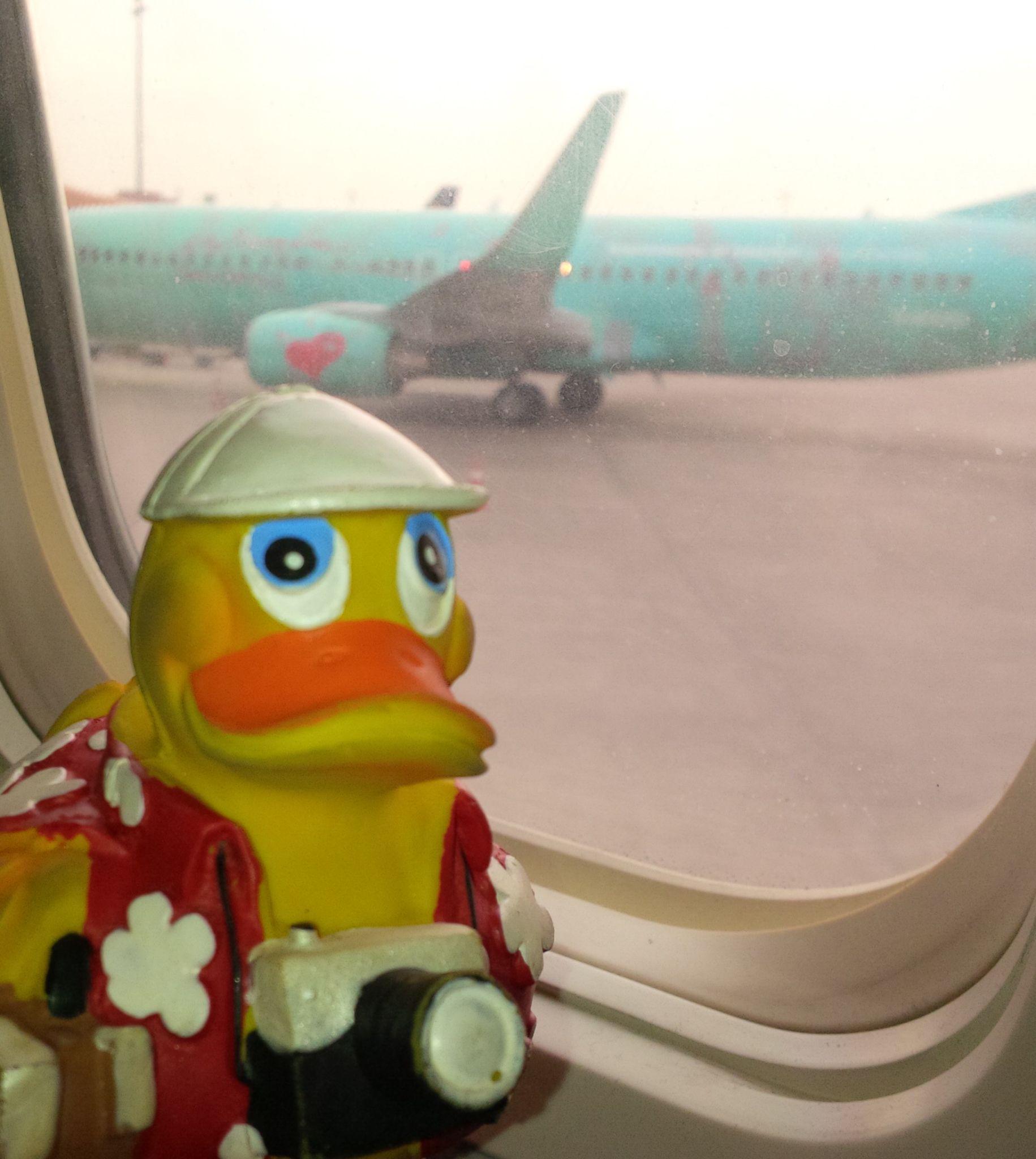 IMG 20141025 153715 edit