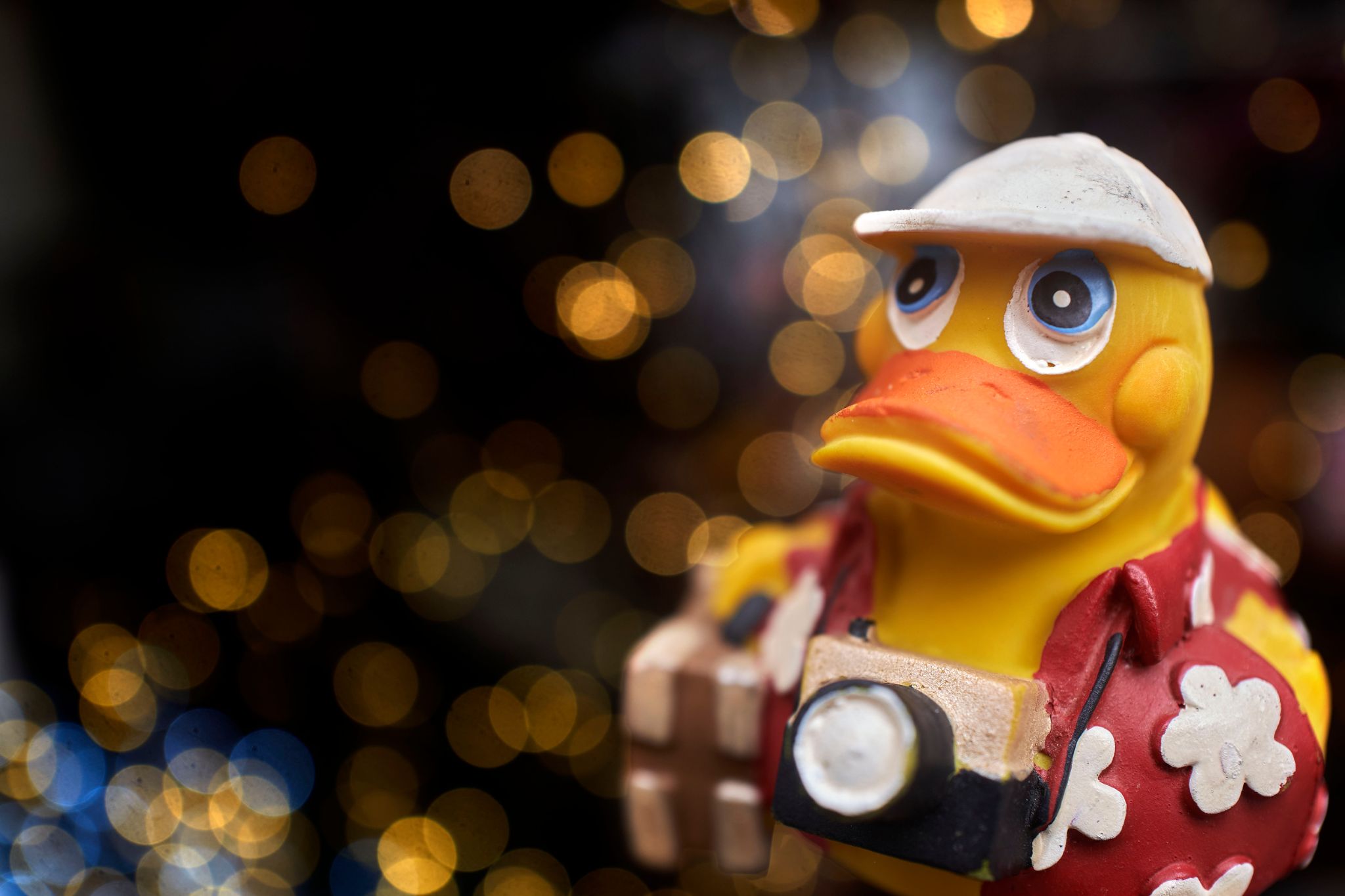 M20231227P_Oskar1260534