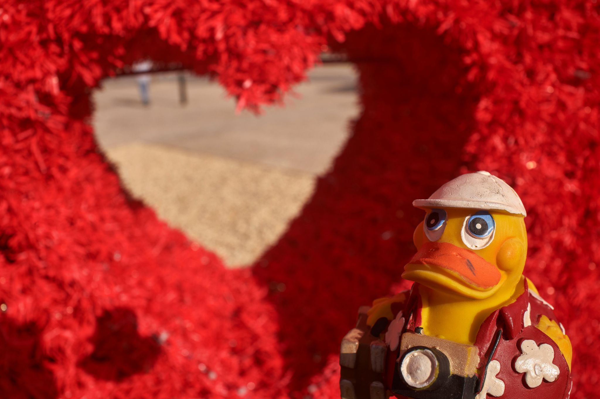 M20231227P_Oskar1260539