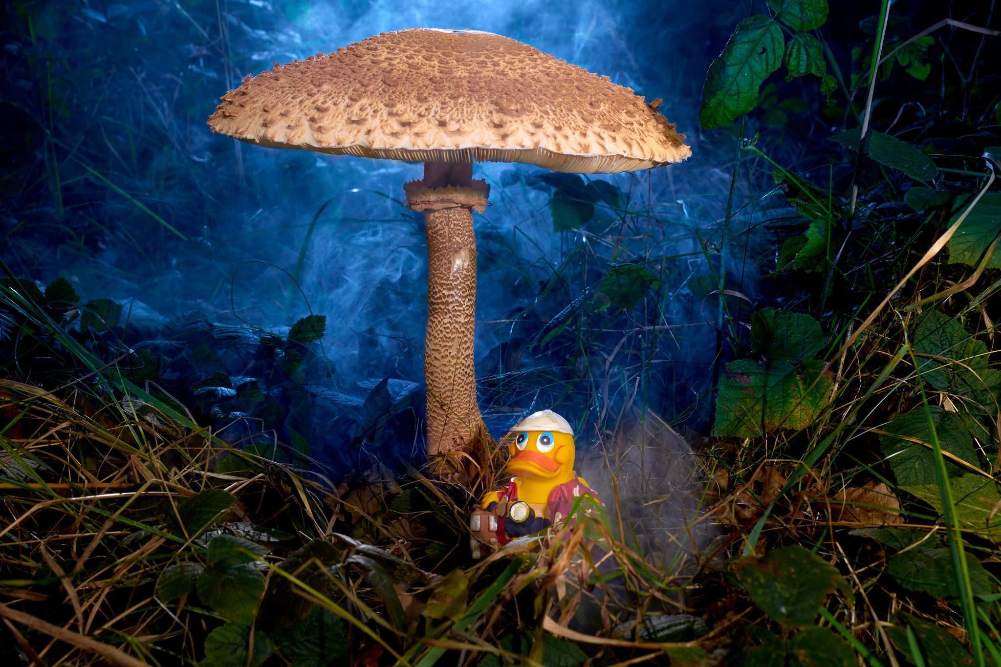 M20250930D_MagicSpreewald1000598