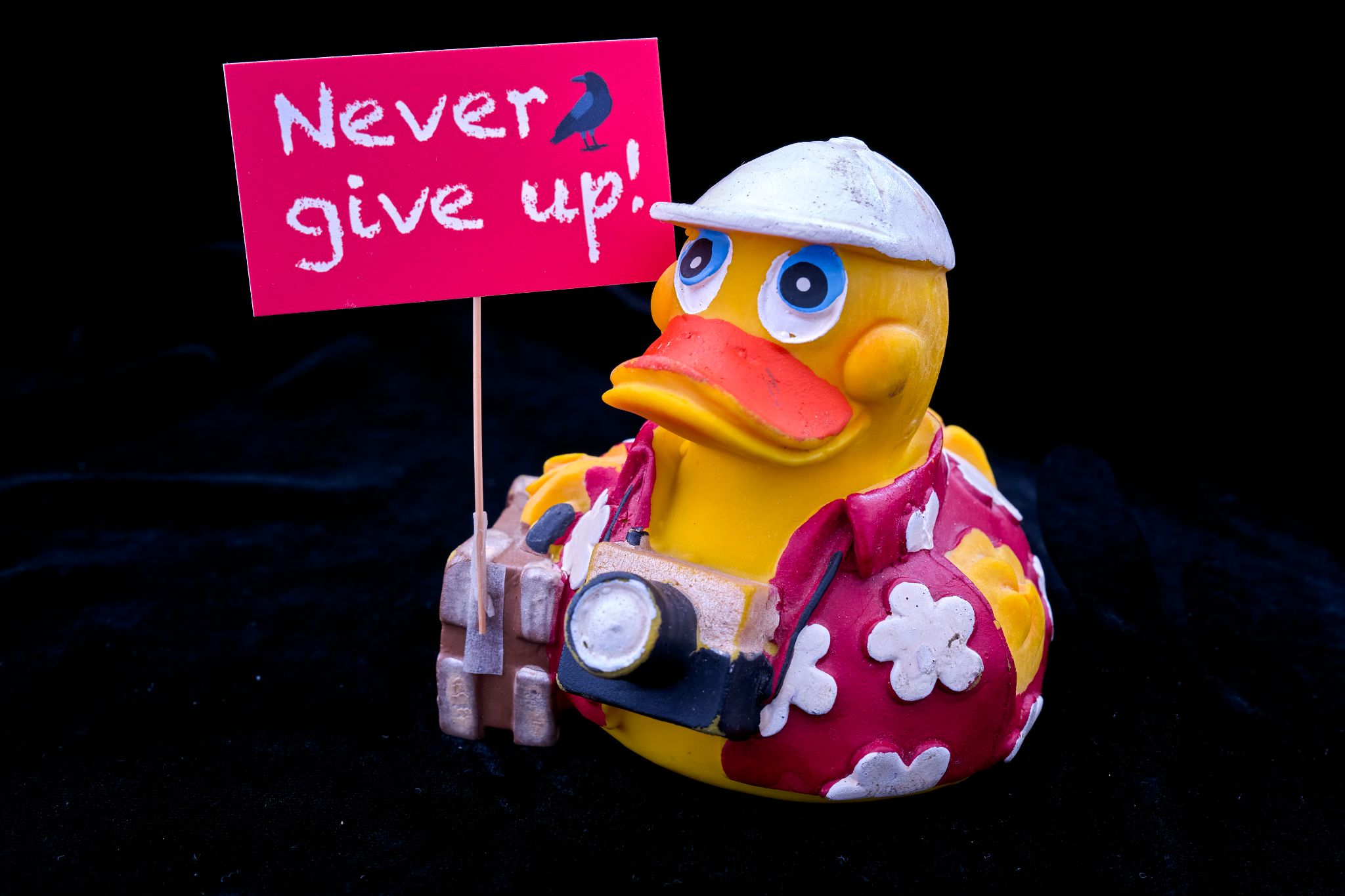 M20250403D_Oskar_nevergiveup1002302