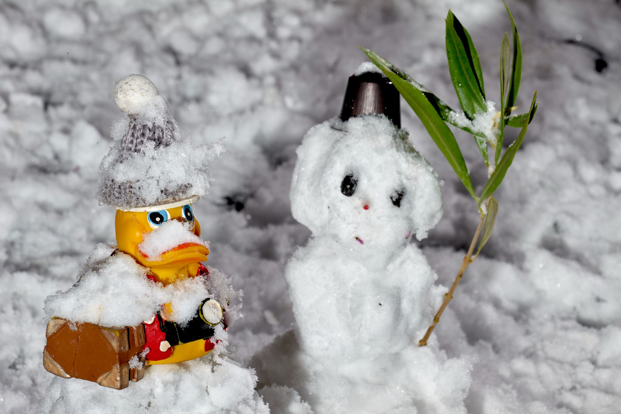 M20250105D_Oskar_Snowman1020683