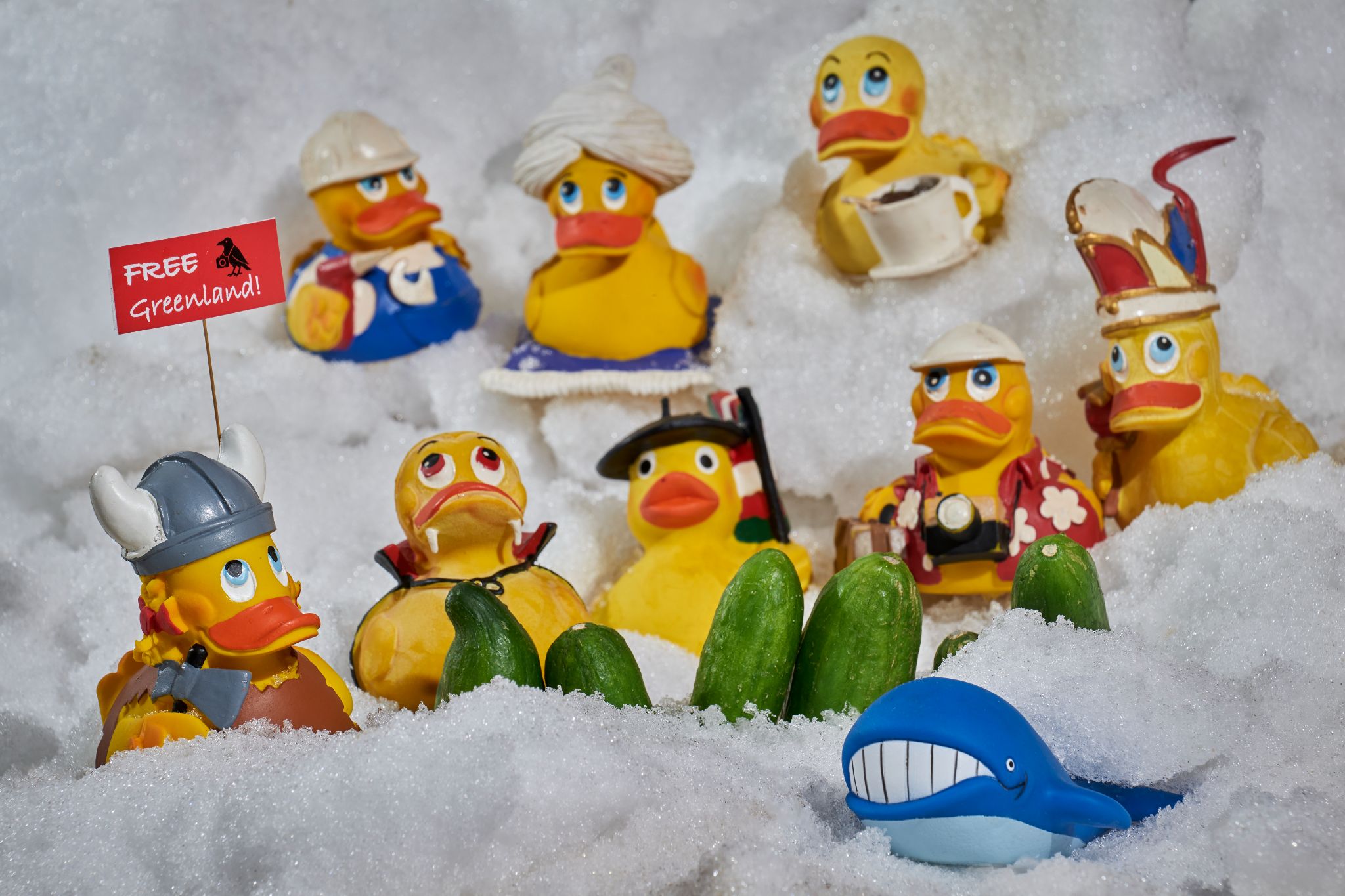 M20260125D_Oskar_FreeGreenland1030822