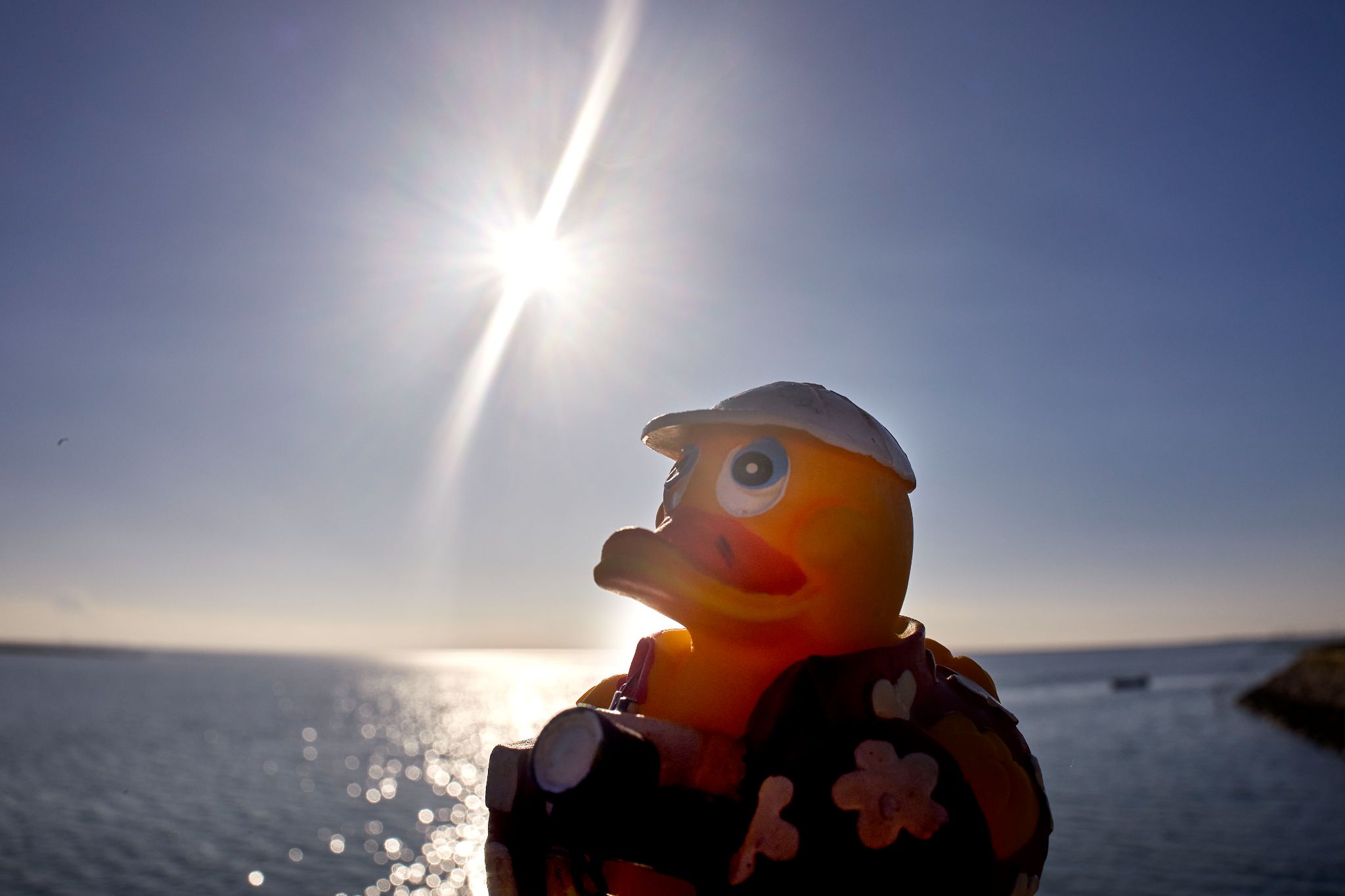 M20231224P_Oskar1260319